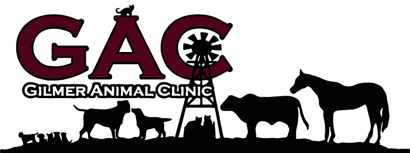 Gilmer Animal Clinic Logo